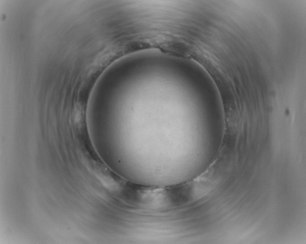 X0000088830132200706071405
