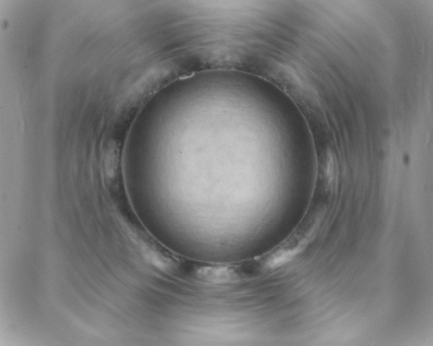 X0000088830133200706071404