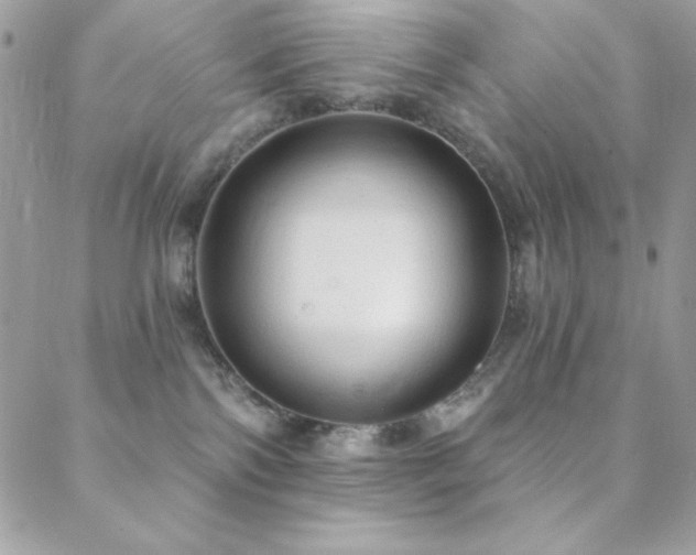 X0000088830138200706071404