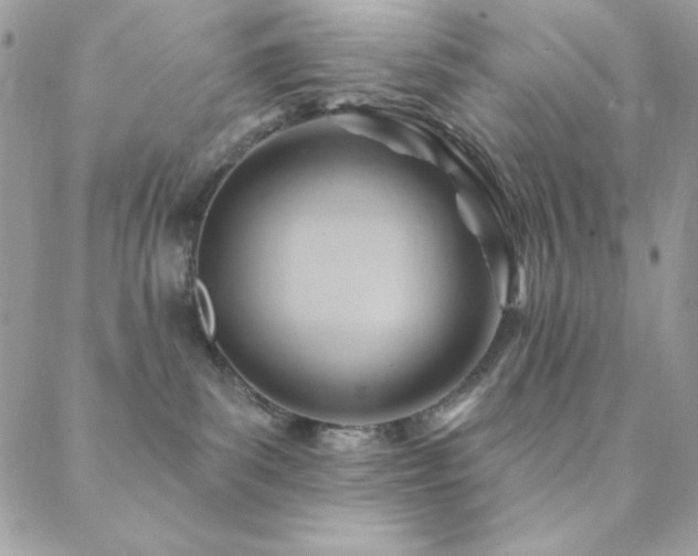 X0000088830139200706071404