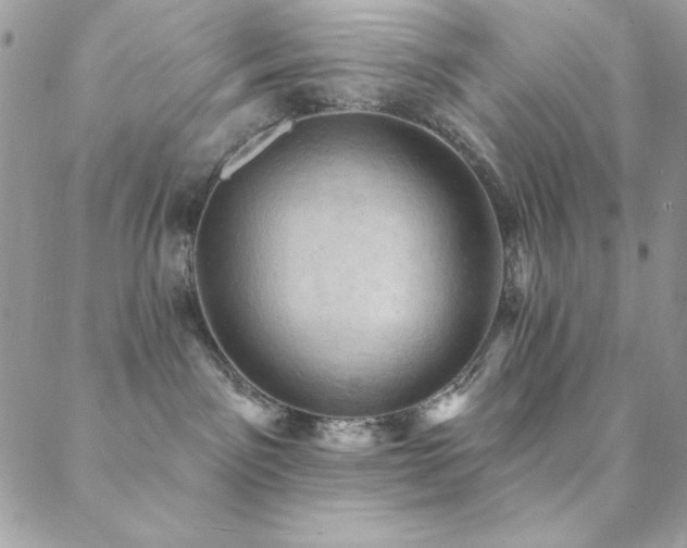 X0000088830141200706071404