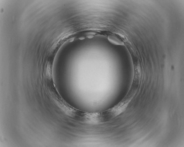 X0000088830143200706071404