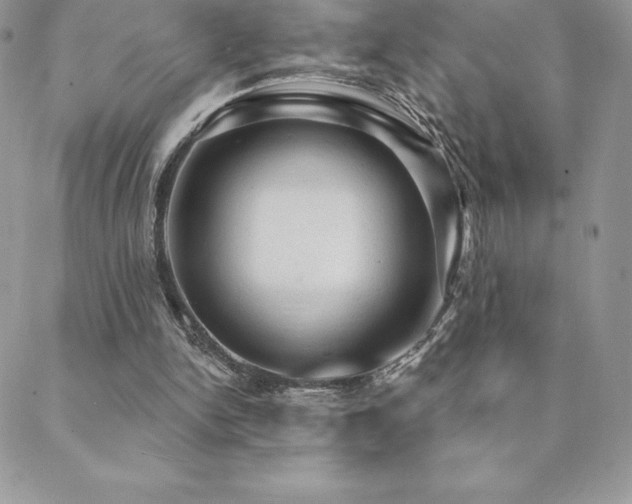 X0000088830150200706071404