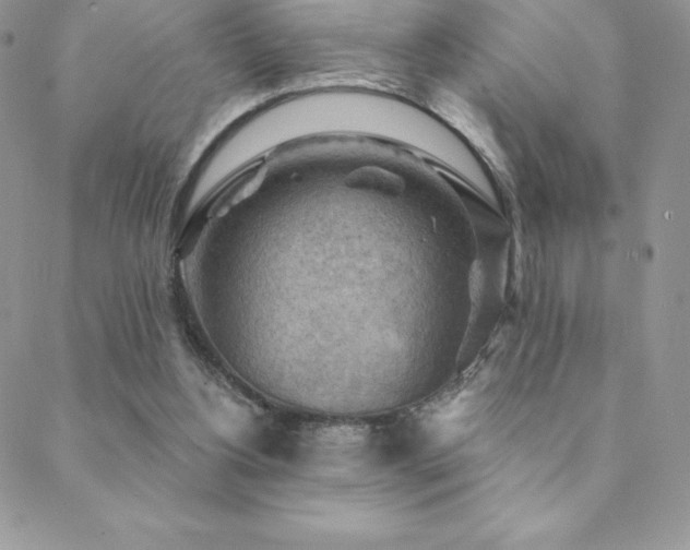 X0000088830156200706071404