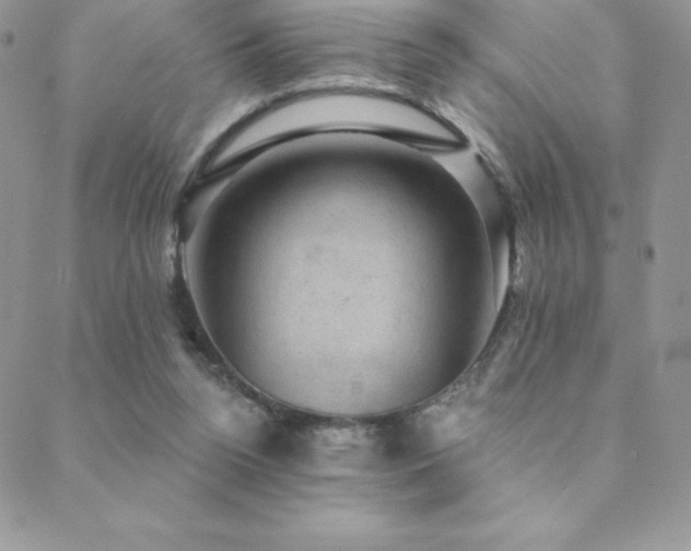 X0000088830160200706071404