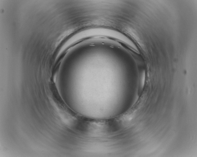 X0000088830164200706071404