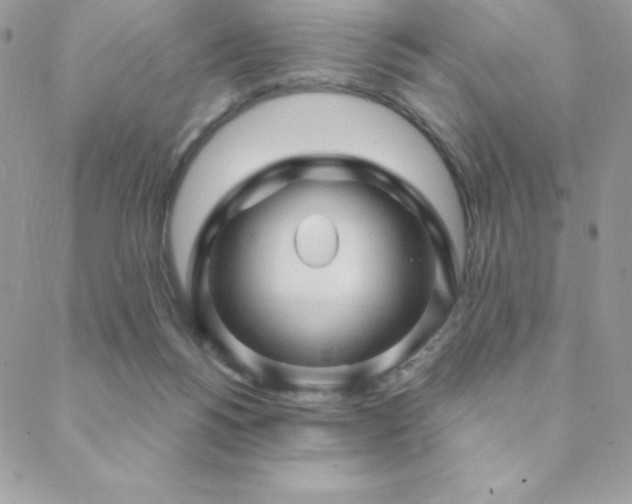 X0000088830168200706071404