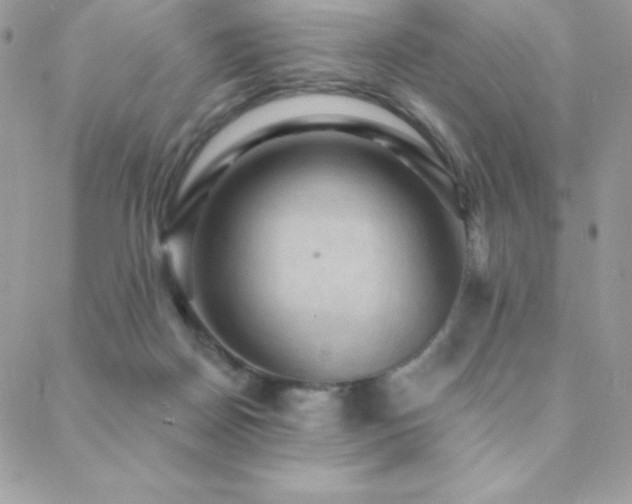 X0000088830170200706071404