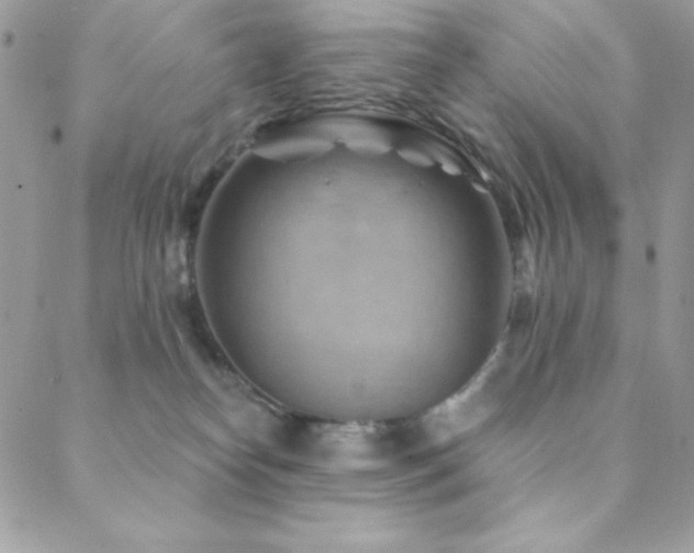 X0000088830182200706071404