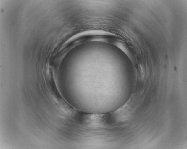 X0000088830184200706071404