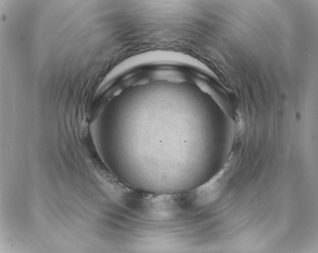 X0000088830186200706071404