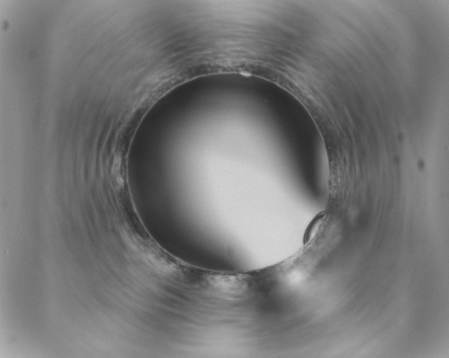 X0000088830187200706071404