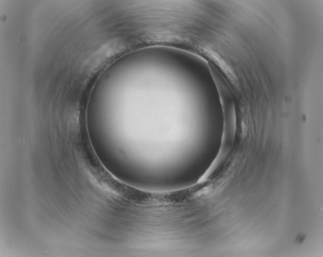 X0000088830207200706071403