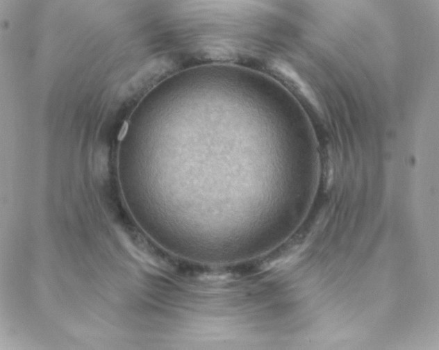 X0000088830213200706071403
