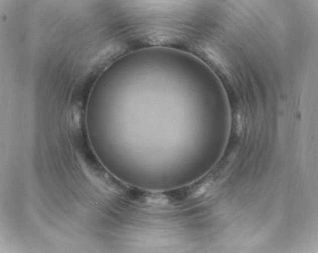 X0000088830214200706071403