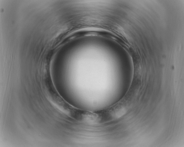 X0000088830215200706071403