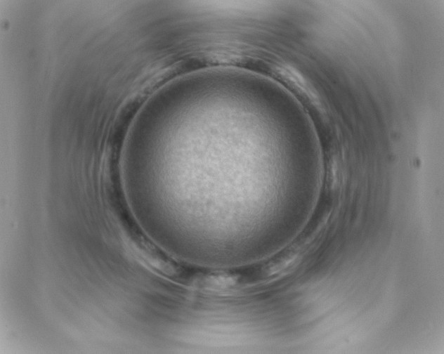 X0000088830217200706071403