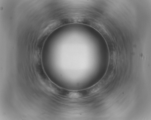X0000088830218200706071403