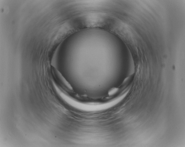 X0000088830219200706071403