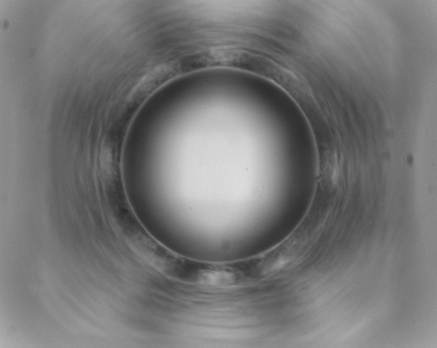 X0000088830220200706071403