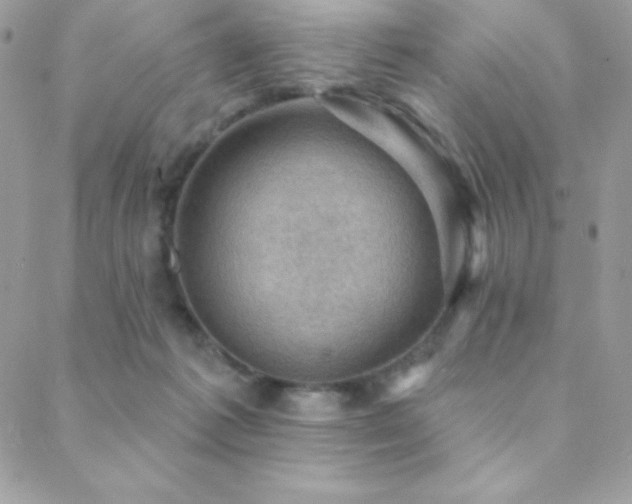 X0000088830221200706071403