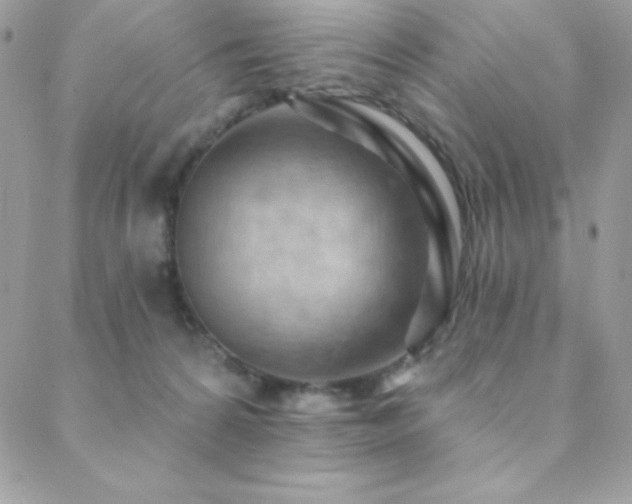 X0000088830224200706071403
