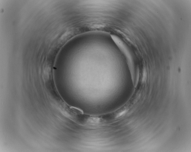 X0000088830227200706071403