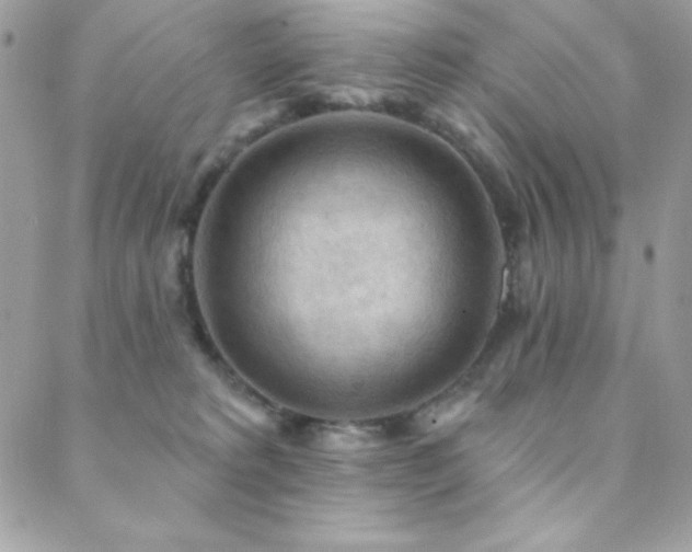X0000088830229200706071403