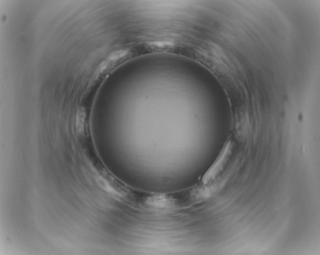 X0000088830231200706071403