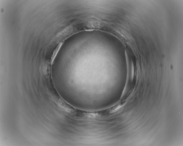 X0000088830233200706071403