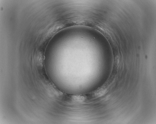 X0000088830234200706071403