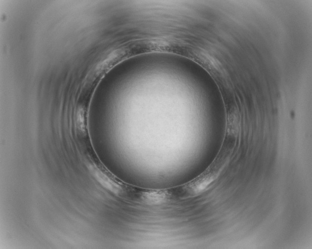 X0000088830238200706071403