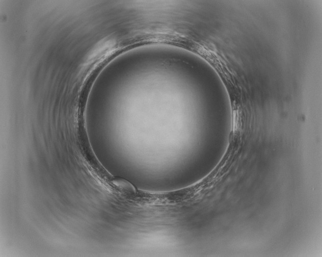 X0000088830243200706071402