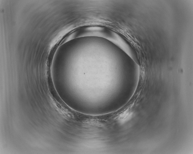 X0000088830244200706071402
