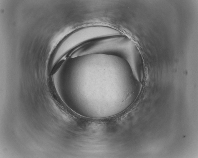 X0000088830248200706071402