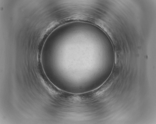 X0000088830253200706071402