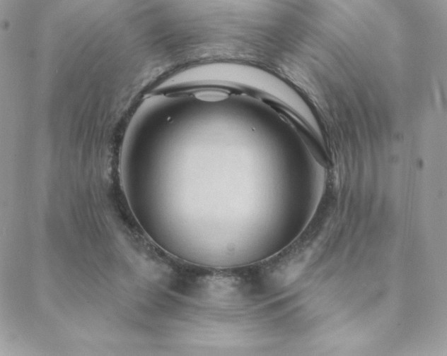 X0000088830255200706071402