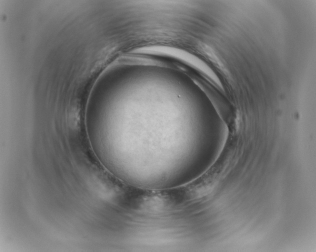 X0000088830259200706071402