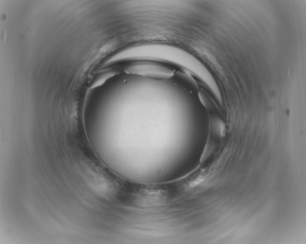 X0000088830260200706071402