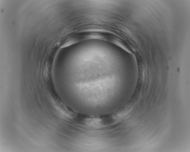 X0000088830266200706071402