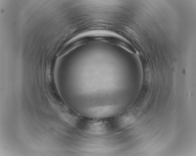 X0000088830267200706071402