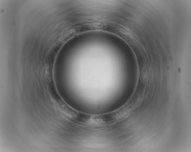 X0000088830270200706071402