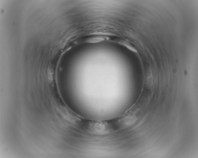 X0000088830282200706071403