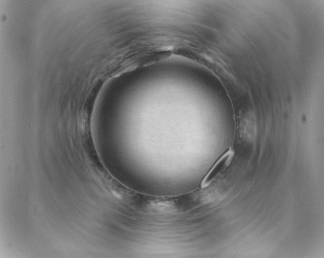 X0000088830283200706071403