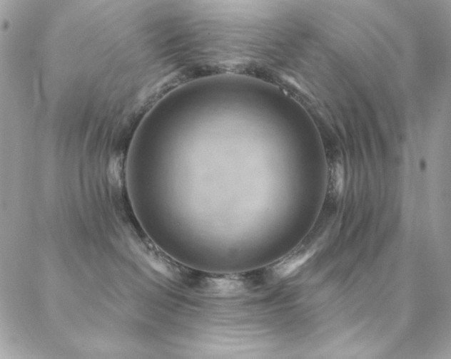X0000088830286200706071403