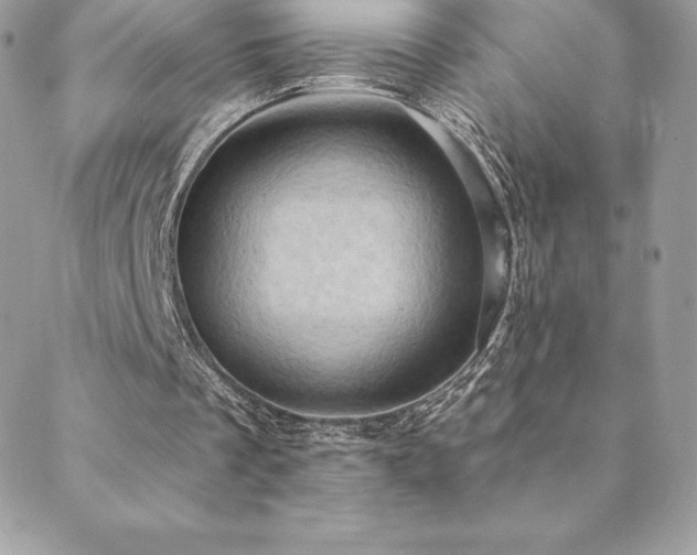 X0000088830289200706071402