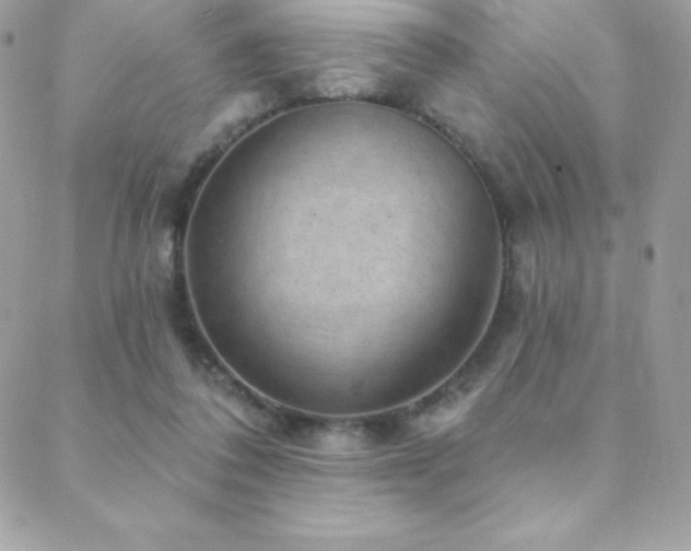 X0000088830308200706071402