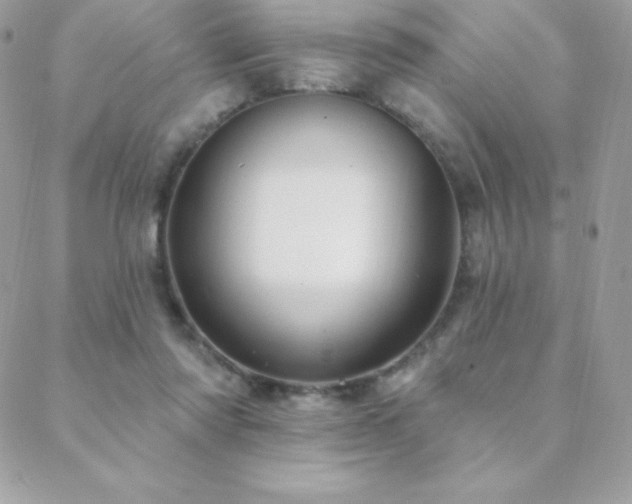 X0000088830310200706071402