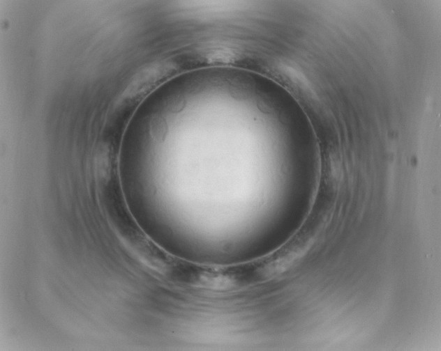 X0000088830311200706071402