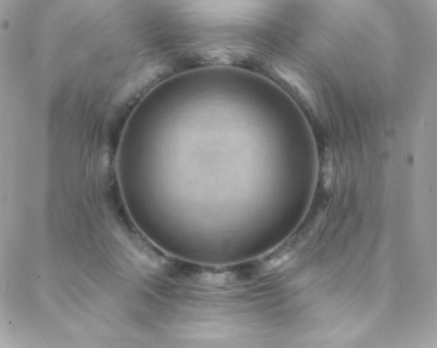 X0000088830314200706071402